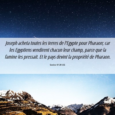 Picture 06 - Genèse 47:20 LSG - Joseph acheta toutes les terres de l'Egypte pour - Bible Verse Picture