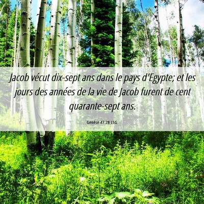 Picture 06 - Genèse 47:28 LSG - Jacob vécut dix-sept ans dans le pays d'Egypte; - Bible Verse Picture