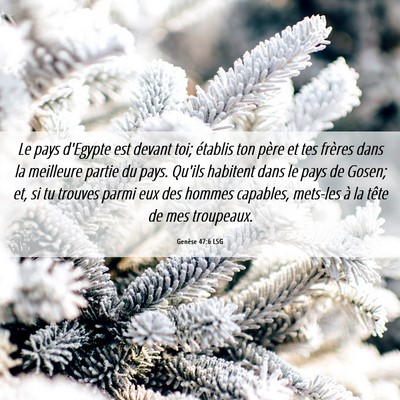 Picture 06 - Genèse 47:6 LSG - Le pays d'Egypte est devant toi; établis ton - Bible Verse Picture
