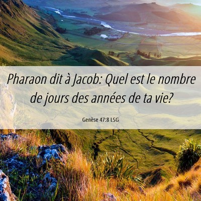 Picture 06 - Genèse 47:8 LSG - Pharaon dit à Jacob: Quel est le nombre de jours - Bible Verse Picture