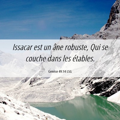 Picture 06 - Genèse 49:14 LSG - Issacar est un âne robuste, Qui se couche dans - Bible Verse Picture