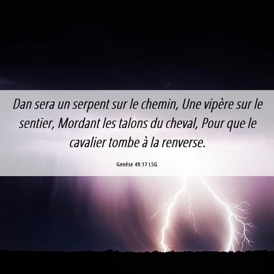 Picture 06 - Genèse 49:17 LSG - Dan sera un serpent sur le chemin, Une vipère - Bible Verse Picture