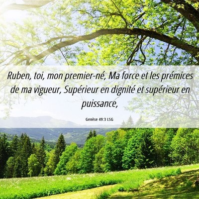 Picture 06 - Genèse 49:3 LSG - Ruben, toi, mon premier-né, Ma force et les - Bible Verse Picture