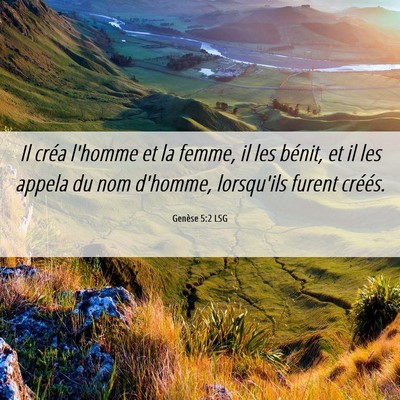 Picture 06 - Genèse 5:2 LSG - Il créa l'homme et la femme, il les bénit, et - Bible Verse Picture