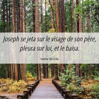 Picture 06 - Genèse 50:1 LSG - Joseph se jeta sur le visage de son père, pleura - Bible Verse Picture