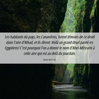 Picture 06 - Genèse 50:11 LSG - Les habitants du pays, les Cananéens, furent - Bible Verse Picture