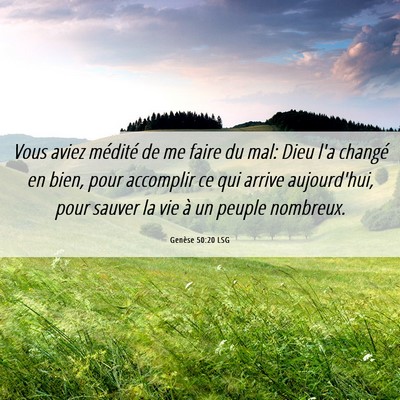 Picture 06 - Genèse 50:20 LSG - Vous aviez médité de me faire du mal: Dieu l'a - Bible Verse Picture