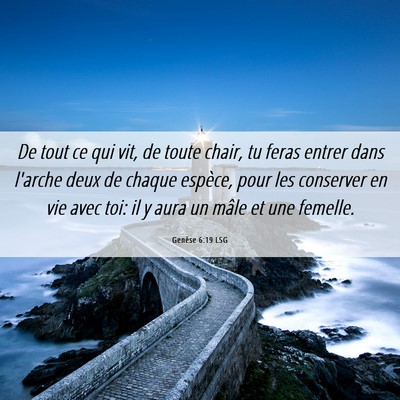 Picture 06 - Genèse 6:19 LSG - De tout ce qui vit, de toute chair, tu feras - Bible Verse Picture