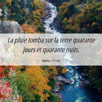 Picture 06 - Genèse 7:12 LSG - La pluie tomba sur la terre quarante jours et - Bible Verse Picture