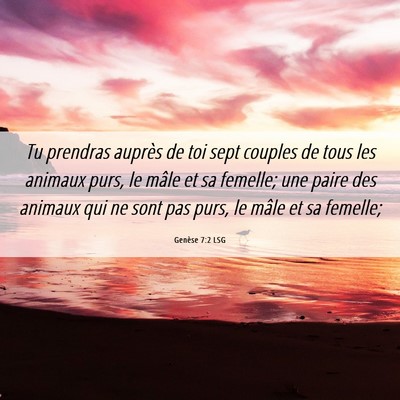Picture 06 - Genèse 7:2 LSG - Tu prendras auprès de toi sept couples de tous - Bible Verse Picture
