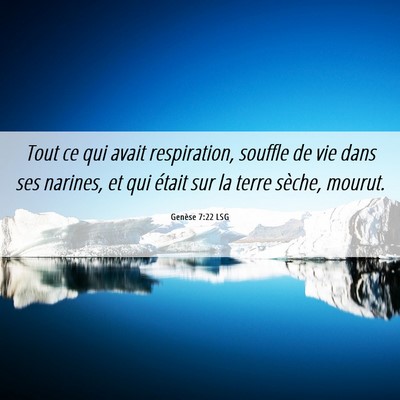 Picture 06 - Genèse 7:22 LSG - Tout ce qui avait respiration, souffle de vie - Bible Verse Picture