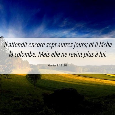 Picture 06 - Genèse 8:12 LSG - Il attendit encore sept autres jours; et il - Bible Verse Picture