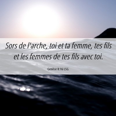 Picture 06 - Genèse 8:16 LSG - Sors de l'arche, toi et ta femme, tes fils et les - Bible Verse Picture