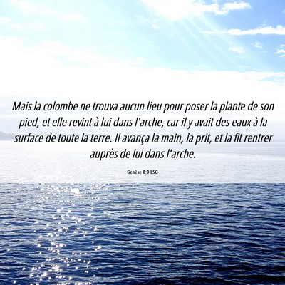 Picture 06 - Genèse 8:9 LSG - Mais la colombe ne trouva aucun lieu pour poser - Bible Verse Picture