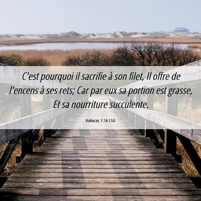 Picture 06 - Habacuc 1:16 LSG - C'est pourquoi il sacrifie à son filet, Il offre - Bible Verse Picture