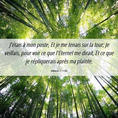 Picture 06 - Habacuc 2:1 LSG - J'étais à mon poste, Et je me tenais sur la - Bible Verse Picture