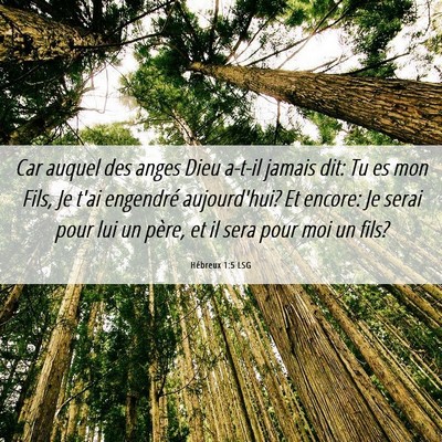 Picture 06 - Hébreux 1:5 LSG - Car auquel des anges Dieu a-t-il jamais dit: Tu - Bible Verse Picture