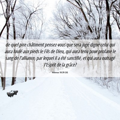 Picture 06 - Hébreux 10:29 LSG - de quel pire châtiment pensez-vous que sera - Bible Verse Picture