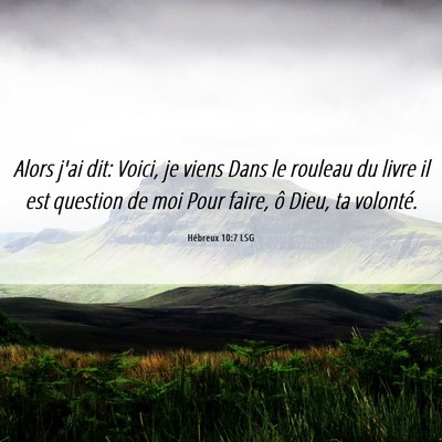 Picture 06 - Hébreux 10:7 LSG - Alors j'ai dit: Voici, je viens Dans le rouleau - Bible Verse Picture