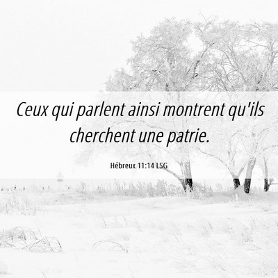 Picture 06 - Hébreux 11:14 LSG - Ceux qui parlent ainsi montrent qu'ils cherchent - Bible Verse Picture