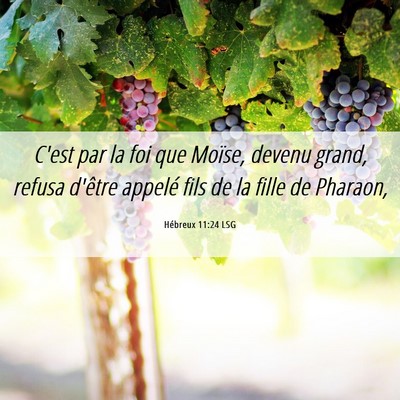 Picture 06 - Hébreux 11:24 LSG - C'est par la foi que Moïse, devenu grand, refusa - Bible Verse Picture