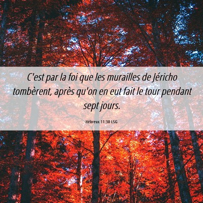 Picture 06 - Hébreux 11:30 LSG - C'est par la foi que les murailles de Jéricho - Bible Verse Picture