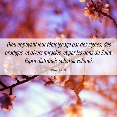 Picture 06 - Hébreux 2:4 LSG - Dieu appuyant leur témoignage par des signes, - Bible Verse Picture