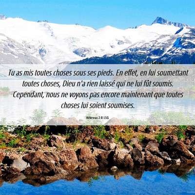 Picture 06 - Hébreux 2:8 LSG - Tu as mis toutes choses sous ses pieds. En effet, - Bible Verse Picture