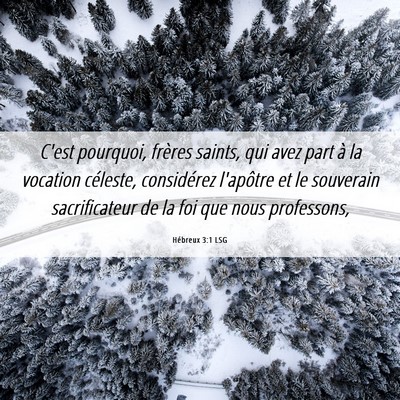 Picture 06 - Hébreux 3:1 LSG - C'est pourquoi, frères saints, qui avez part à - Bible Verse Picture