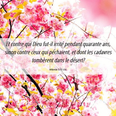 Picture 06 - Hébreux 3:17 LSG - Et contre qui Dieu fut-il irrité pendant - Bible Verse Picture