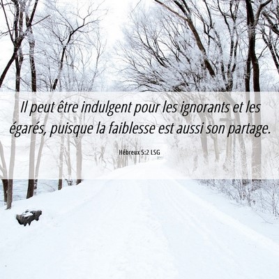 Picture 06 - Hébreux 5:2 LSG - Il peut être indulgent pour les ignorants et les - Bible Verse Picture
