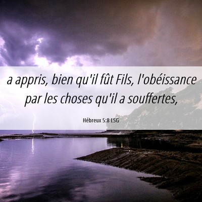 Picture 06 - Hébreux 5:8 LSG - a appris, bien qu'il fût Fils, l'obéissance par - Bible Verse Picture