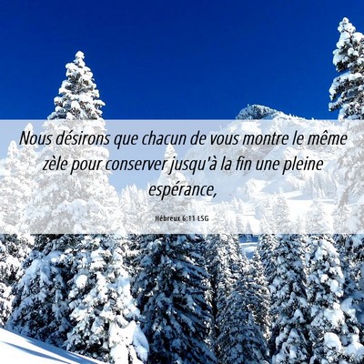 Picture 06 - Hébreux 6:11 LSG - Nous désirons que chacun de vous montre le même - Bible Verse Picture