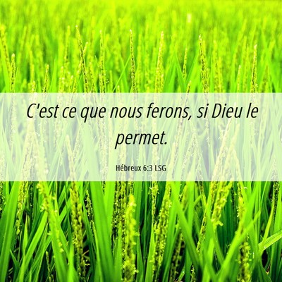 Picture 06 - Hébreux 6:3 LSG - C'est ce que nous ferons, si Dieu le - Bible Verse Picture
