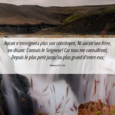 Picture 06 - Hébreux 8:11 LSG - Aucun n'enseignera plus son concitoyen, Ni aucun - Bible Verse Picture