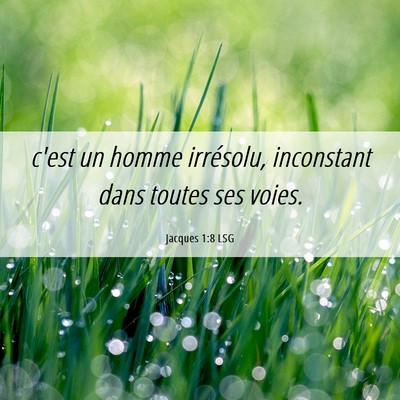 Picture 06 - Jacques 1:8 LSG - c'est un homme irrésolu, inconstant dans toutes - Bible Verse Picture