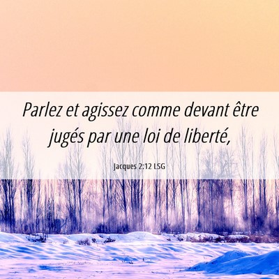 Picture 06 - Jacques 2:12 LSG - Parlez et agissez comme devant être jugés par - Bible Verse Picture