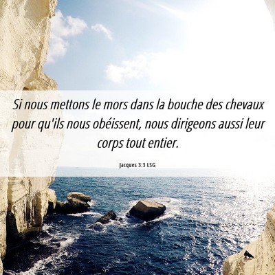 Picture 06 - Jacques 3:3 LSG - Si nous mettons le mors dans la bouche des - Bible Verse Picture
