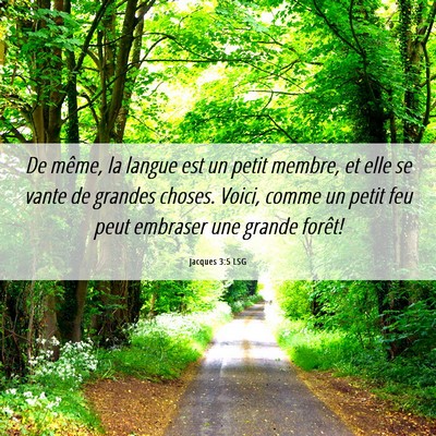 Picture 06 - Jacques 3:5 LSG - De même, la langue est un petit membre, et elle - Bible Verse Picture