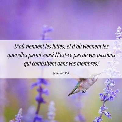 Picture 06 - Jacques 4:1 LSG - D'où viennent les luttes, et d'où viennent les - Bible Verse Picture