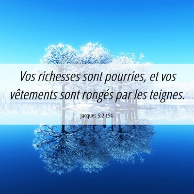 Picture 06 - Jacques 5:2 LSG - Vos richesses sont pourries, et vos vêtements - Bible Verse Picture