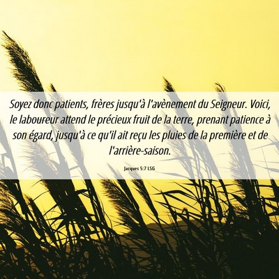 Picture 06 - Jacques 5:7 LSG - Soyez donc patients, frères jusqu'à - Bible Verse Picture