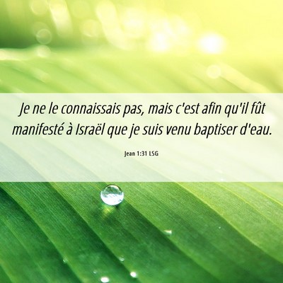 Picture 06 - Jean 1:31 LSG - Je ne le connaissais pas, mais c'est afin qu'il - Bible Verse Picture