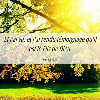 Picture 06 - Jean 1:34 LSG - Et j'ai vu, et j'ai rendu témoignage qu'il est - Bible Verse Picture