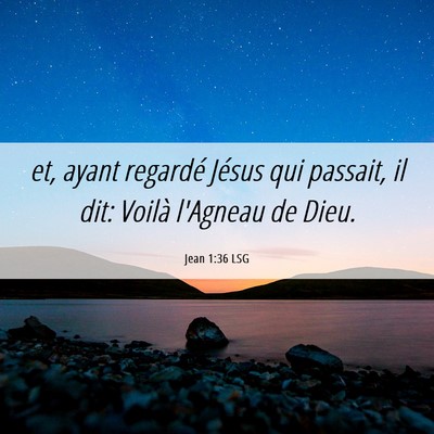 Picture 06 - Jean 1:36 LSG - et, ayant regardé Jésus qui passait, il dit: - Bible Verse Picture