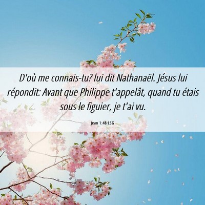 Picture 06 - Jean 1:48 LSG - D'où me connais-tu? lui dit Nathanaël. Jésus - Bible Verse Picture