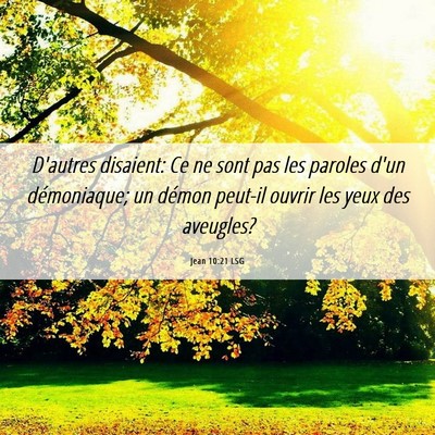 Picture 06 - Jean 10:21 LSG - D'autres disaient: Ce ne sont pas les paroles - Bible Verse Picture