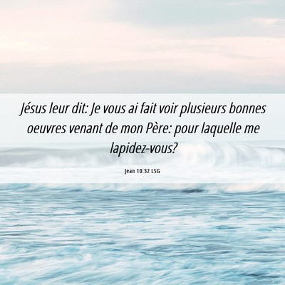 Picture 06 - Jean 10:32 LSG - Jésus leur dit: Je vous ai fait voir plusieurs - Bible Verse Picture
