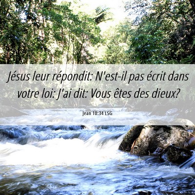 Picture 06 - Jean 10:34 LSG - Jésus leur répondit: N'est-il pas écrit dans - Bible Verse Picture