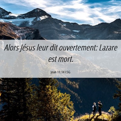 Picture 06 - Jean 11:14 LSG - Alors Jésus leur dit ouvertement: Lazare est - Bible Verse Picture